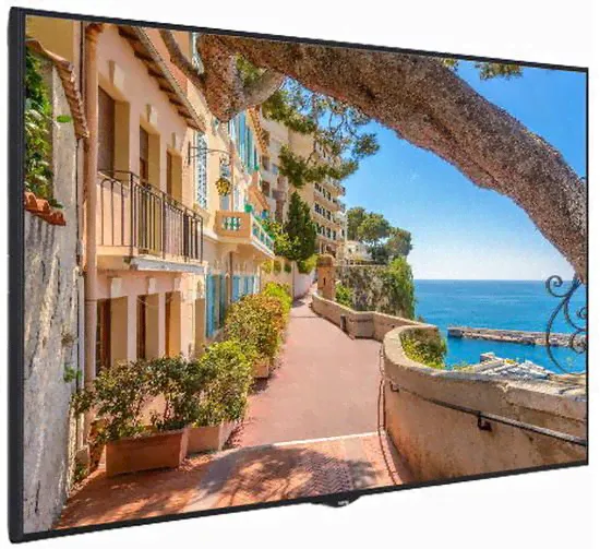 Профессиональный дисплей Vestel UHM55UH82-0